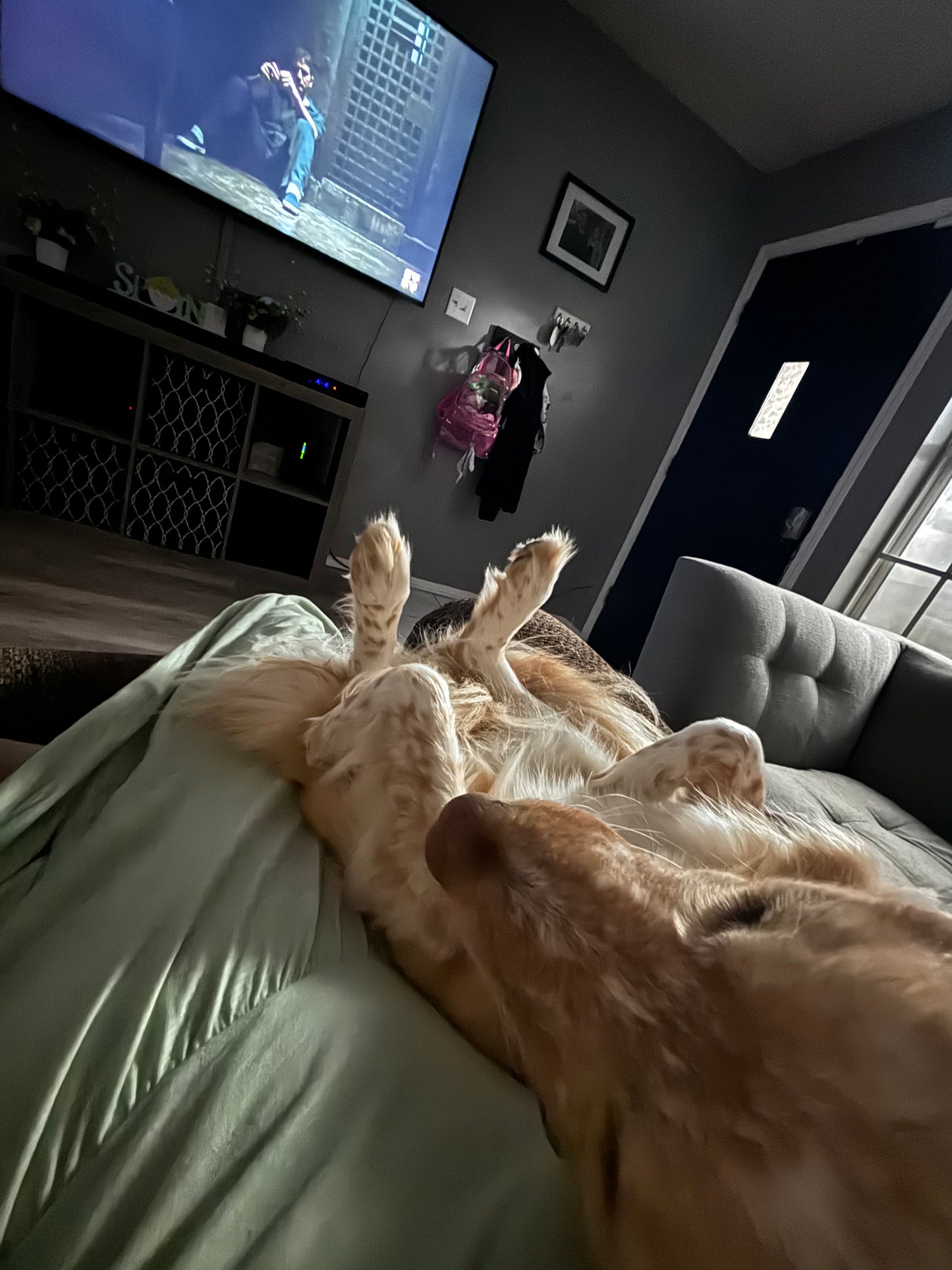 Someone’s spoiled back seat princess Kids