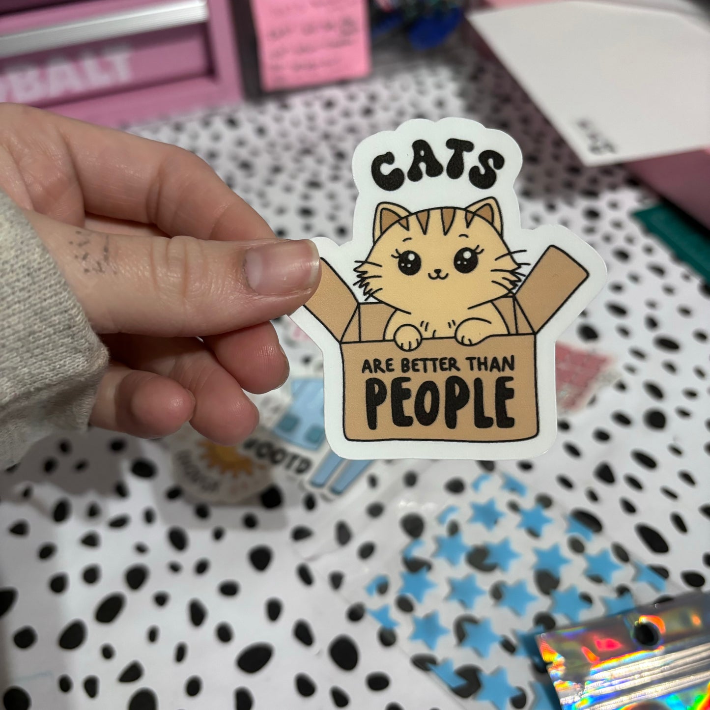 Cats are better than People
